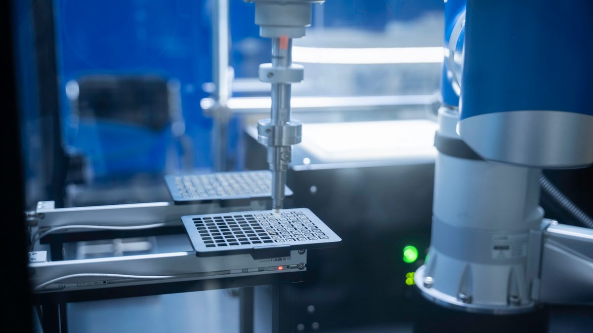 菲律宾俱乐部PlayTime宣布Abed加盟
